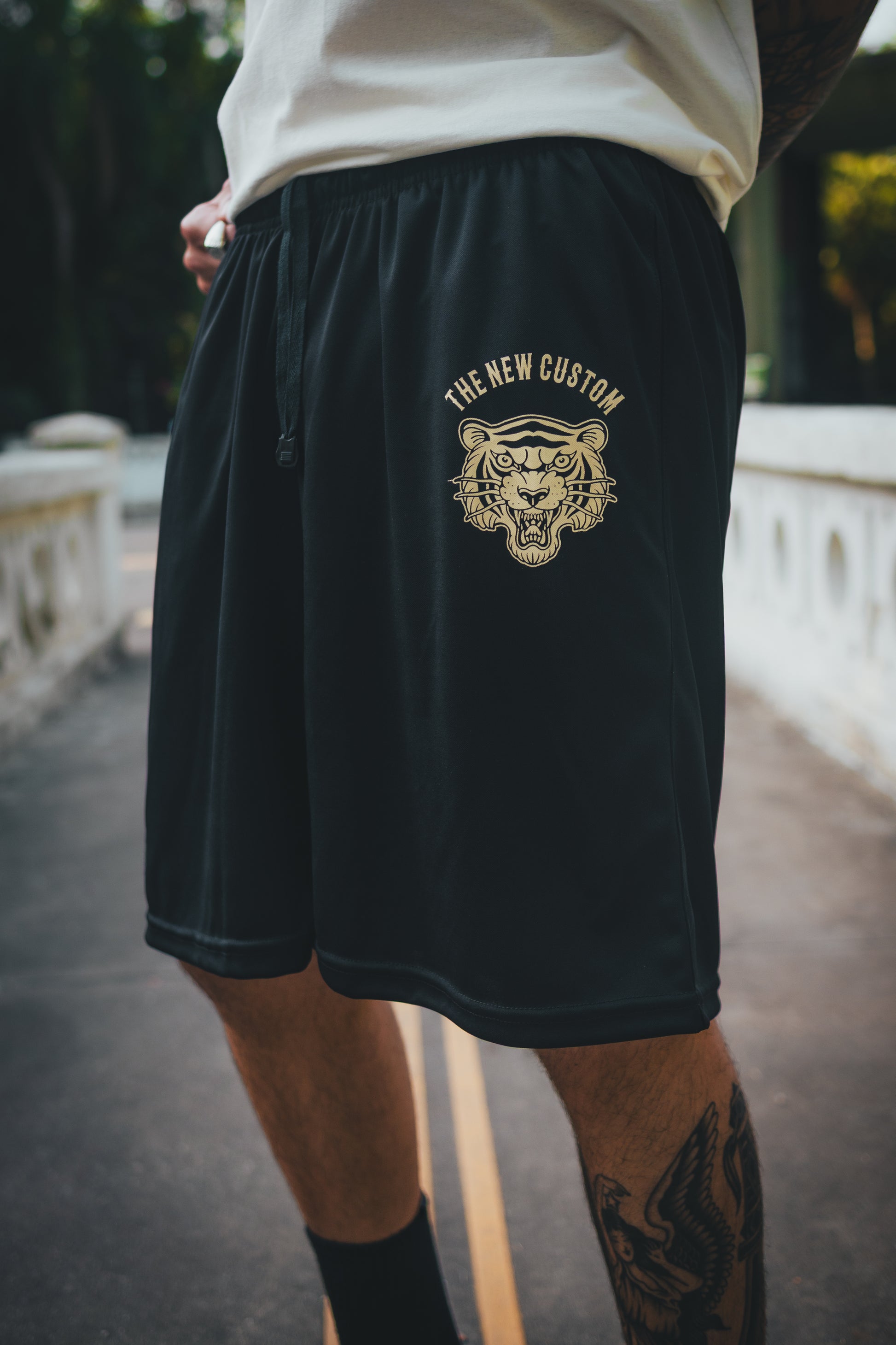 Bermuda Tiger