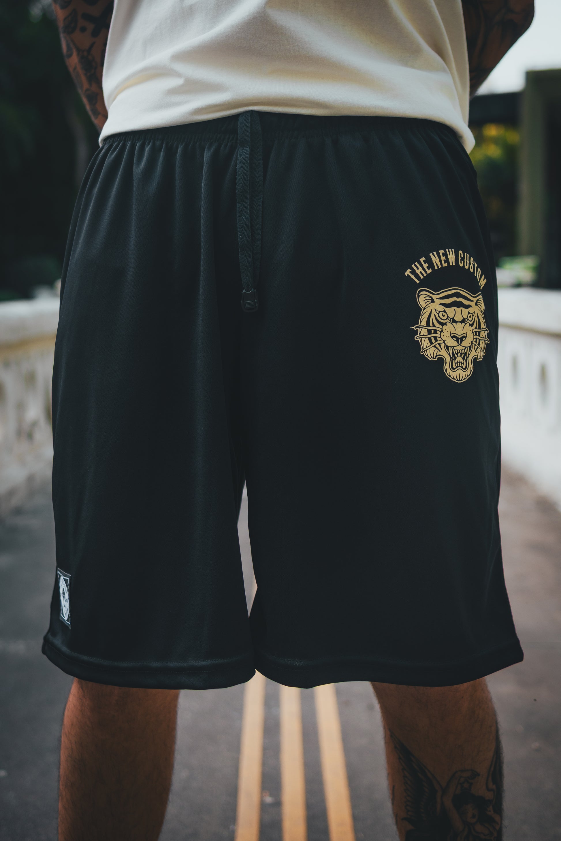 Bermuda Tiger
